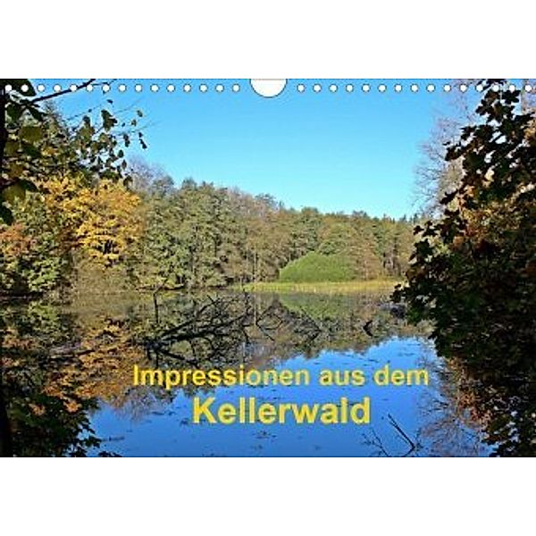 Impressionen aus dem Kellerwald (Wandkalender 2020 DIN A4 quer), Eva Busch