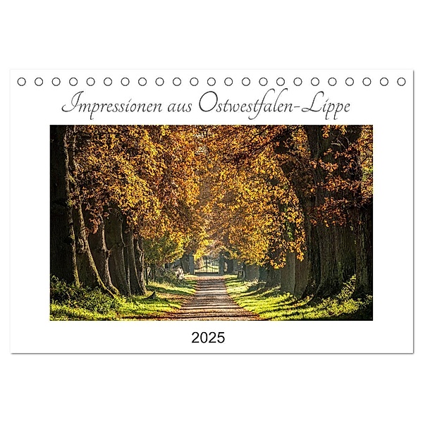 Impressionen aus Ostwestfalen-Lippe (Tischkalender 2025 DIN A5 quer), CALVENDO Monatskalender, Calvendo, Michael Pohl