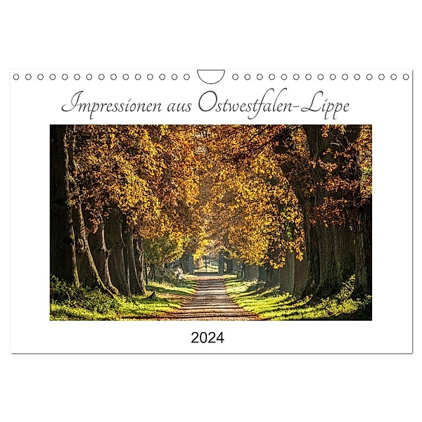 Impressionen aus Ostwestfalen-Lippe (Wandkalender 2024 DIN A4 quer), CALVENDO Monatskalender, Michael Pohl
