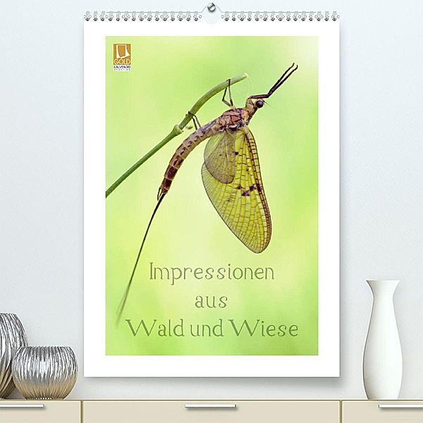 Impressionen aus Wald und Wiese (Premium, hochwertiger DIN A2 Wandkalender 2023, Kunstdruck in Hochglanz), Rolf Schnepp