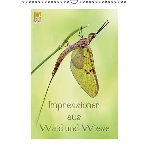 Impressionen aus Wald und Wiese (Wandkalender 2016 DIN A3 hoch), Rolf Schnepp