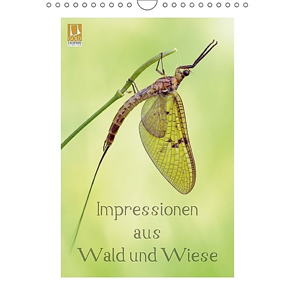 Impressionen aus Wald und Wiese (Wandkalender 2018 DIN A4 hoch), Rolf Schnepp