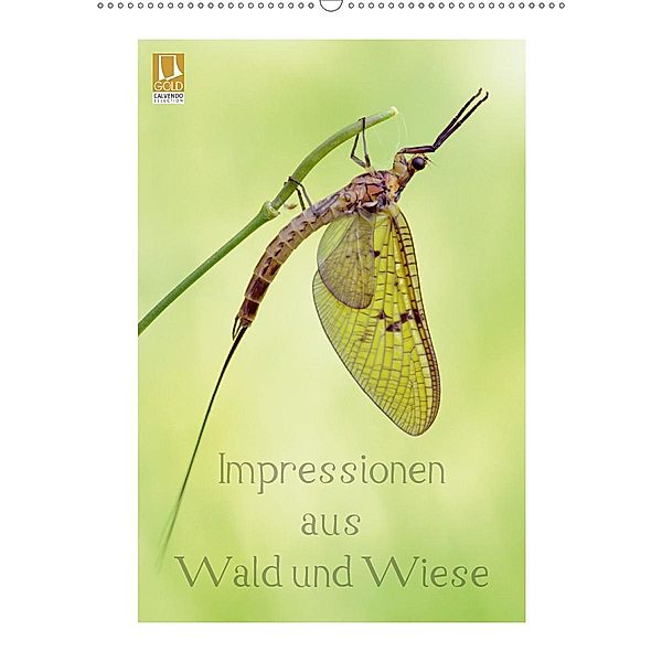 Impressionen aus Wald und Wiese (Wandkalender 2020 DIN A2 hoch), Rolf Schnepp