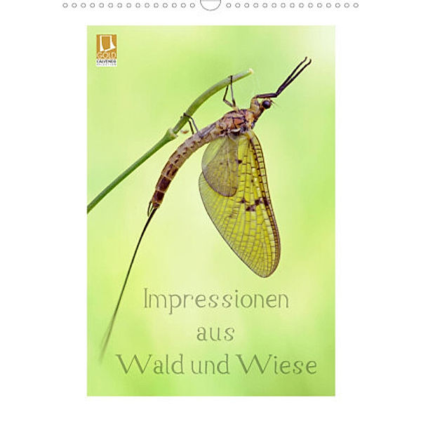 Impressionen aus Wald und Wiese (Wandkalender 2022 DIN A3 hoch), Rolf Schnepp