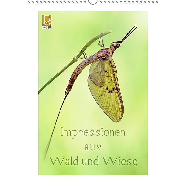 Impressionen aus Wald und Wiese (Wandkalender 2023 DIN A3 hoch), Rolf Schnepp