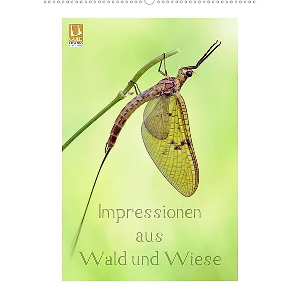 Impressionen aus Wald und Wiese (Wandkalender 2023 DIN A2 hoch), Rolf Schnepp