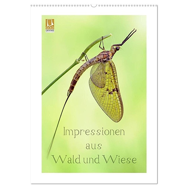 Impressionen aus Wald und Wiese (Wandkalender 2024 DIN A2 hoch), CALVENDO Monatskalender, Rolf Schnepp
