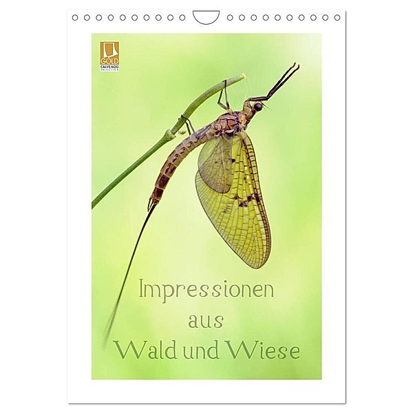 Impressionen aus Wald und Wiese (Wandkalender 2024 DIN A4 hoch), CALVENDO Monatskalender, Rolf Schnepp