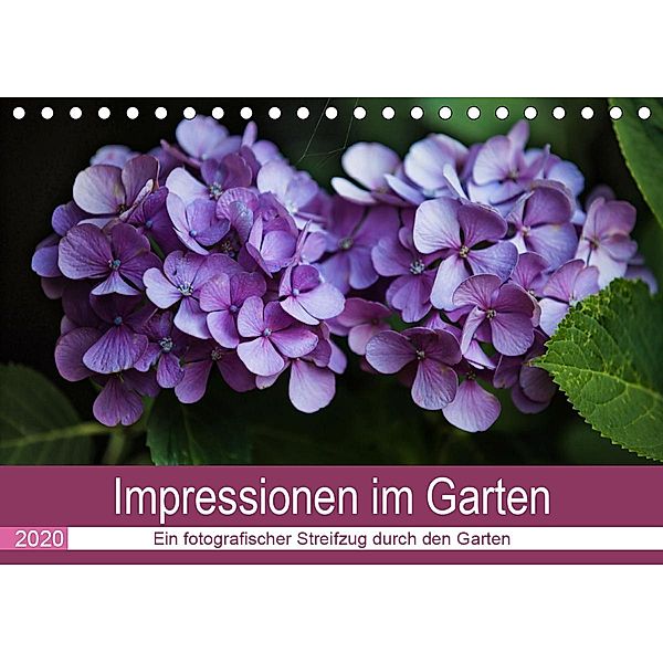 Impressionen im Garten (Tischkalender 2020 DIN A5 quer), Verena Scholze