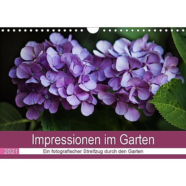 Impressionen im Garten (Wandkalender 2021 DIN A4 quer), Fotodesign Verena Scholze