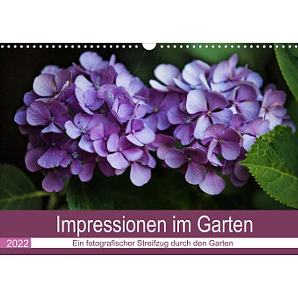 Impressionen im Garten (Wandkalender 2022 DIN A3 quer), Fotodesign Verena Scholze