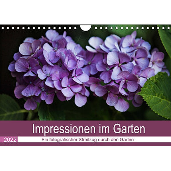 Impressionen im Garten (Wandkalender 2022 DIN A4 quer), Fotodesign Verena Scholze