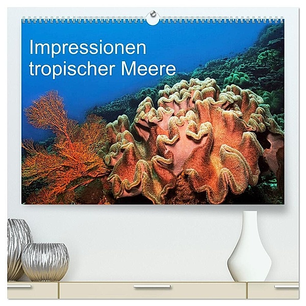 Impressionen tropischer Meere (hochwertiger Premium Wandkalender 2024 DIN A2 quer), Kunstdruck in Hochglanz, Martin Rauchenwald
