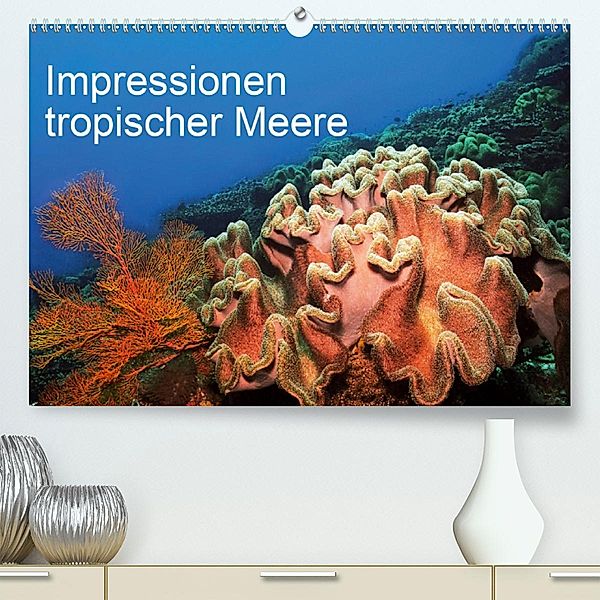 Impressionen tropischer Meere (Premium-Kalender 2020 DIN A2 quer), Martin Rauchenwald