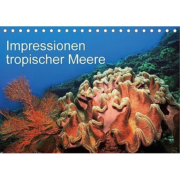 Impressionen tropischer Meere (Tischkalender 2017 DIN A5 quer), Martin Rauchenwald