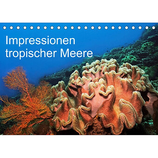 Impressionen tropischer Meere (Tischkalender 2022 DIN A5 quer), Martin Rauchenwald