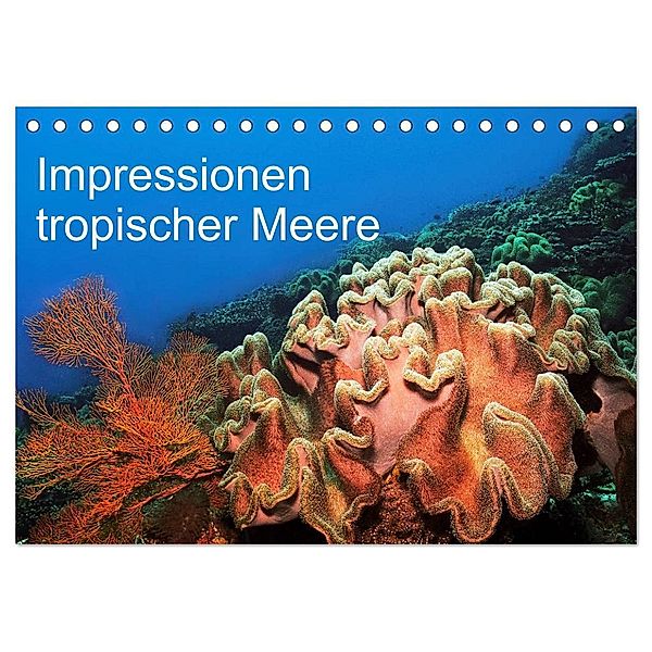 Impressionen tropischer Meere (Tischkalender 2024 DIN A5 quer), CALVENDO Monatskalender, Martin Rauchenwald