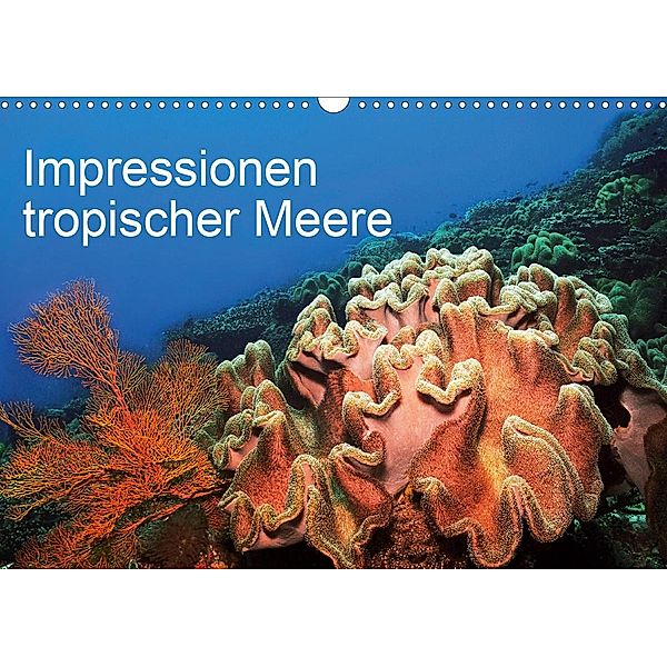 Impressionen tropischer Meere (Wandkalender 2021 DIN A3 quer), Martin Rauchenwald