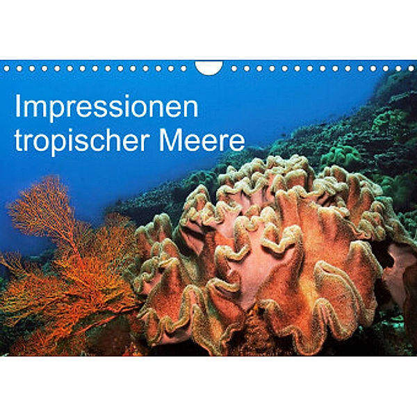 Impressionen tropischer Meere (Wandkalender 2022 DIN A4 quer), Martin Rauchenwald