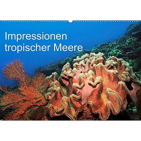 Impressionen tropischer Meere (Wandkalender 2023 DIN A2 quer), Martin Rauchenwald