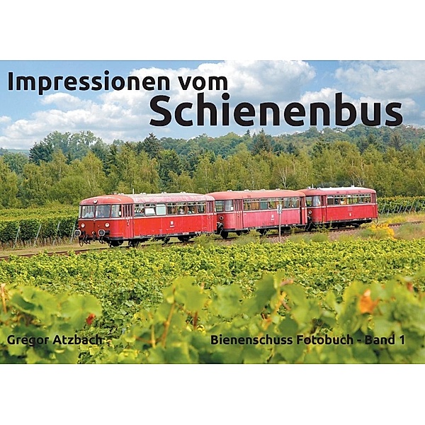 Impressionen vom Schienenbus, Gregor Atzbach