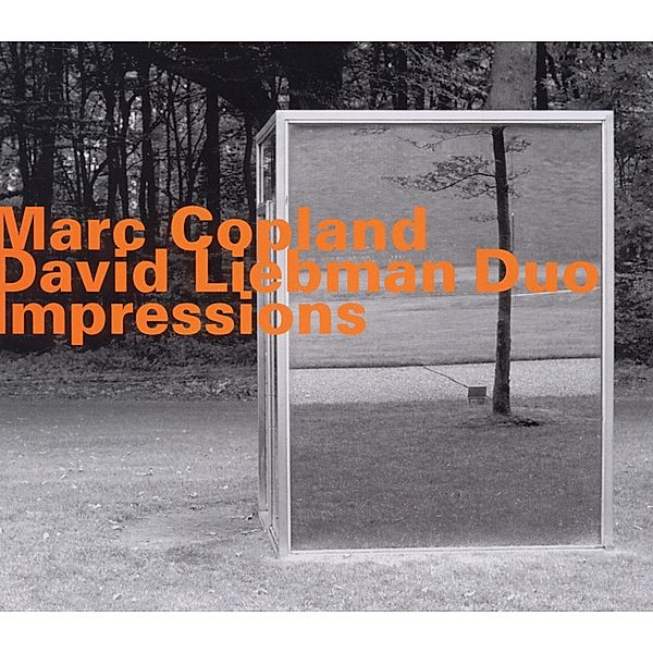 Impressions, Marc Copland, David Liebman