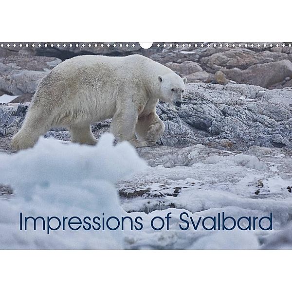 Impressions of Svalbard (Wall Calendar 2023 DIN A3 Landscape), Dr. Franz Josef Hering