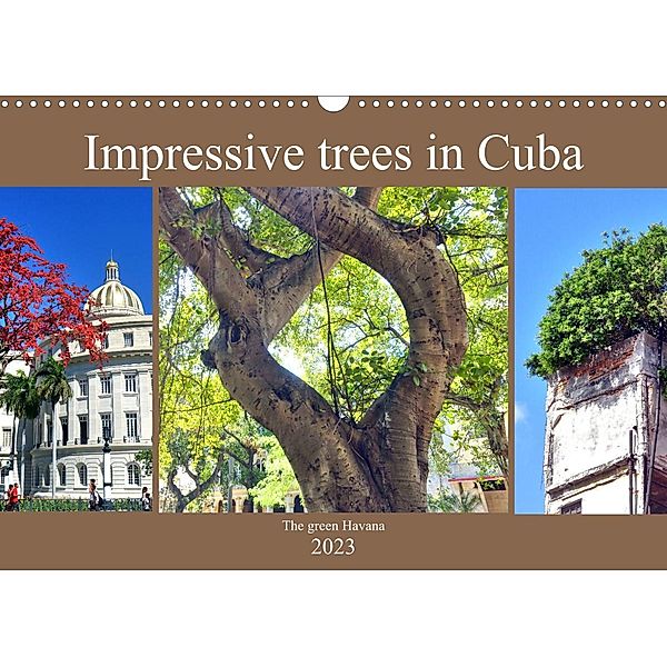 Impressive trees in Cuba - The green Havana (Wall Calendar 2023 DIN A3 Landscape), Henning von Löwis of Menar, Henning von Loewis of Menar