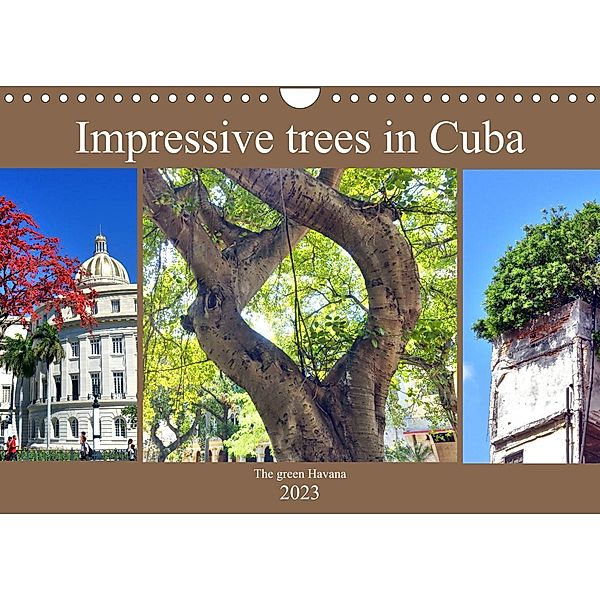 Impressive trees in Cuba - The green Havana (Wall Calendar 2023 DIN A4 Landscape), Henning von Löwis of Menar, Henning von Loewis of Menar