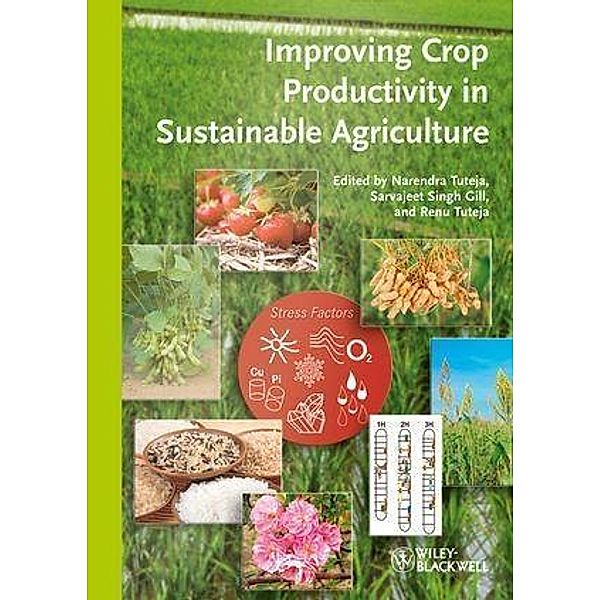 Improving Crop Productivity in Sustainable Agriculture