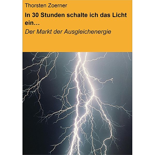 In 30 Stunden schalte ich das Licht ein..., Thorsten Zoerner