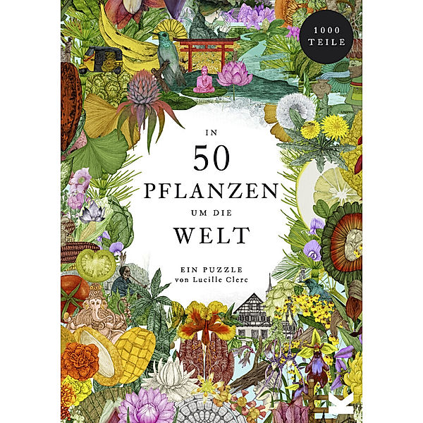 Laurence King Verlag GmbH In 50 Pflanzen um die Welt, Jonathan Drori