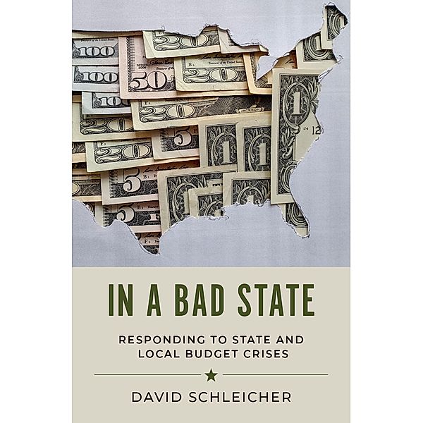 In a Bad State, David Schleicher