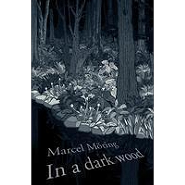 In A Dark Wood, Marcel Möring