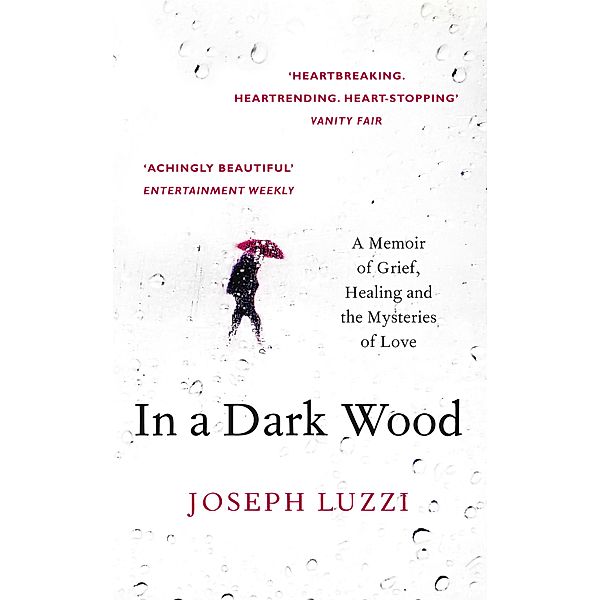 In a Dark Wood, Joseph Luzzi