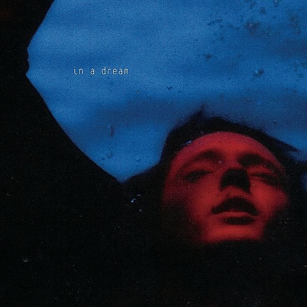 In A Dream  (Ltd.Edt.), Troye Sivan