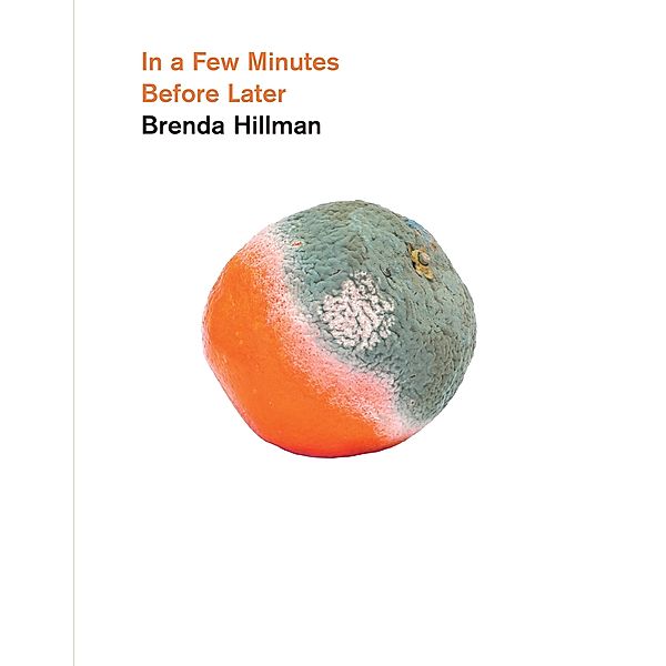 In a Few Minutes Before Later / Wesleyan Poetry Series, Brenda Hillman