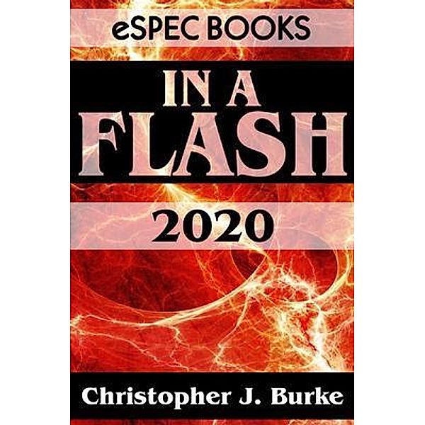 In a Flash 2020 / In A Flash Bd.2, Christopher J. Burke