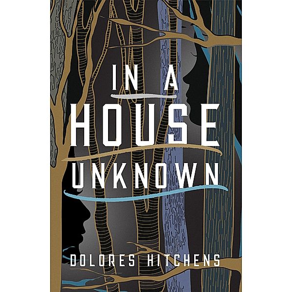 In a House Unknown, Dolores Hitchens