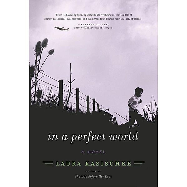 In a Perfect World, Laura Kasischke