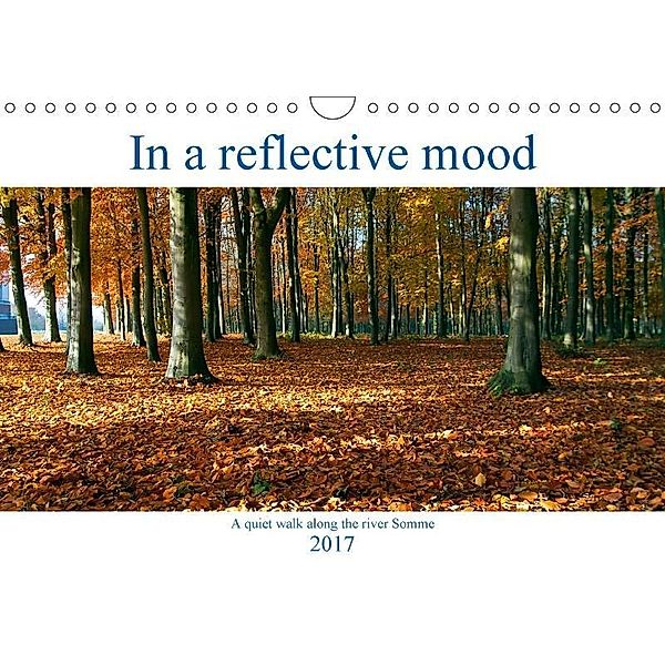 In a reflective mood (Wall Calendar 2017 DIN A4 Landscape), Terry Hewlett
