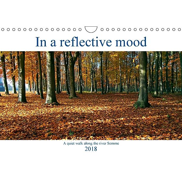 In a reflective mood (Wall Calendar 2018 DIN A4 Landscape), Terry Hewlett