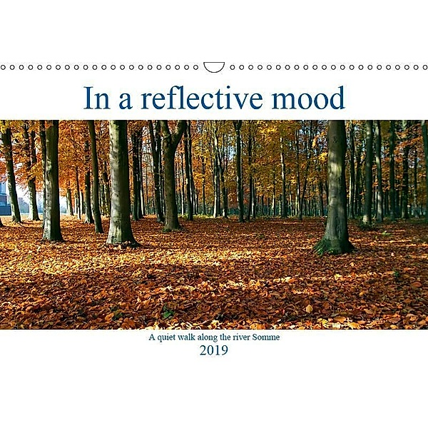 In a reflective mood (Wall Calendar 2019 DIN A3 Landscape), Terry Hewlett