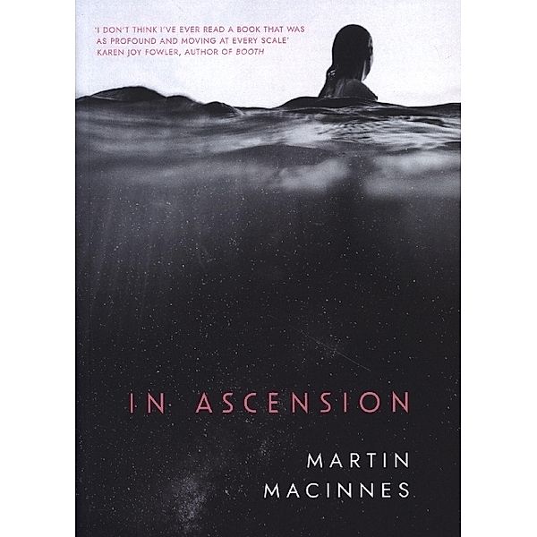 In Ascension, Martin MacInnes