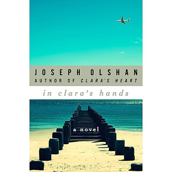 In Clara's Hands, Joseph Olshan