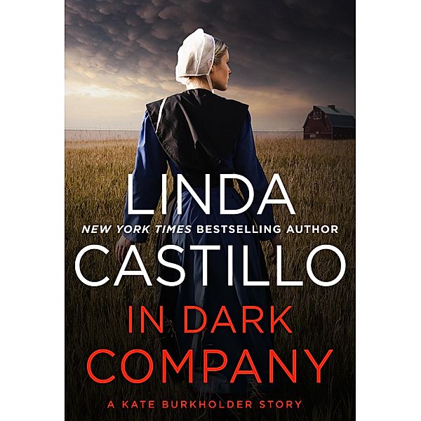 In Dark Company / Minotaur Books, Linda Castillo