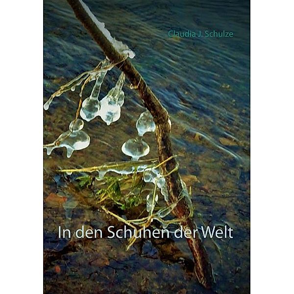 In den Schuhen der Welt, Claudia J. Schulze