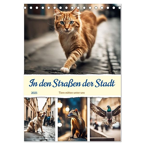 In den Strassen der Stadt - Tiere mitten unter uns (Tischkalender 2025 DIN A5 hoch), CALVENDO Monatskalender, Calvendo, Martina Marten