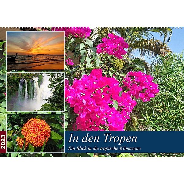 In den Tropen - Ein Blick in die tropische Klimazone (Wandkalender 2023 DIN A2 quer), Martin Gillner