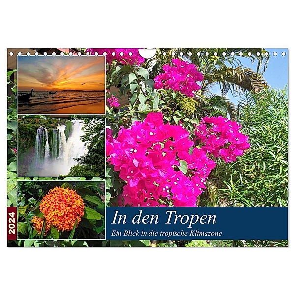 In den Tropen - Ein Blick in die tropische Klimazone (Wandkalender 2024 DIN A4 quer), CALVENDO Monatskalender, Martin Gillner